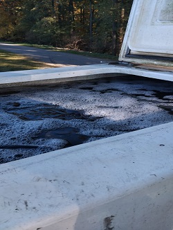 Container mit Fischen