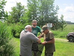 Willi Scheitenberger