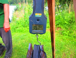 Fast 20 Kilo Brachsen