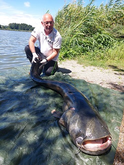 Günter Schmidt mit großem Wels