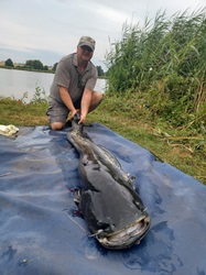 Harald Schalkhas mit Karpfen