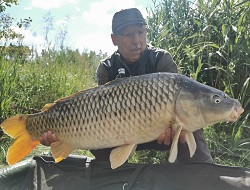 Helmut Hofko mit Karpfen