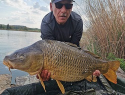 Helmut Hofko mit Karpfen