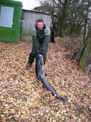 Gerhard vogler mit Wels