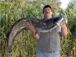 Helmut Rockenbauer mit einem Wels